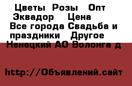 Цветы. Розы.  Опт.  Эквадор. › Цена ­ 50 - Все города Свадьба и праздники » Другое   . Ненецкий АО,Волонга д.